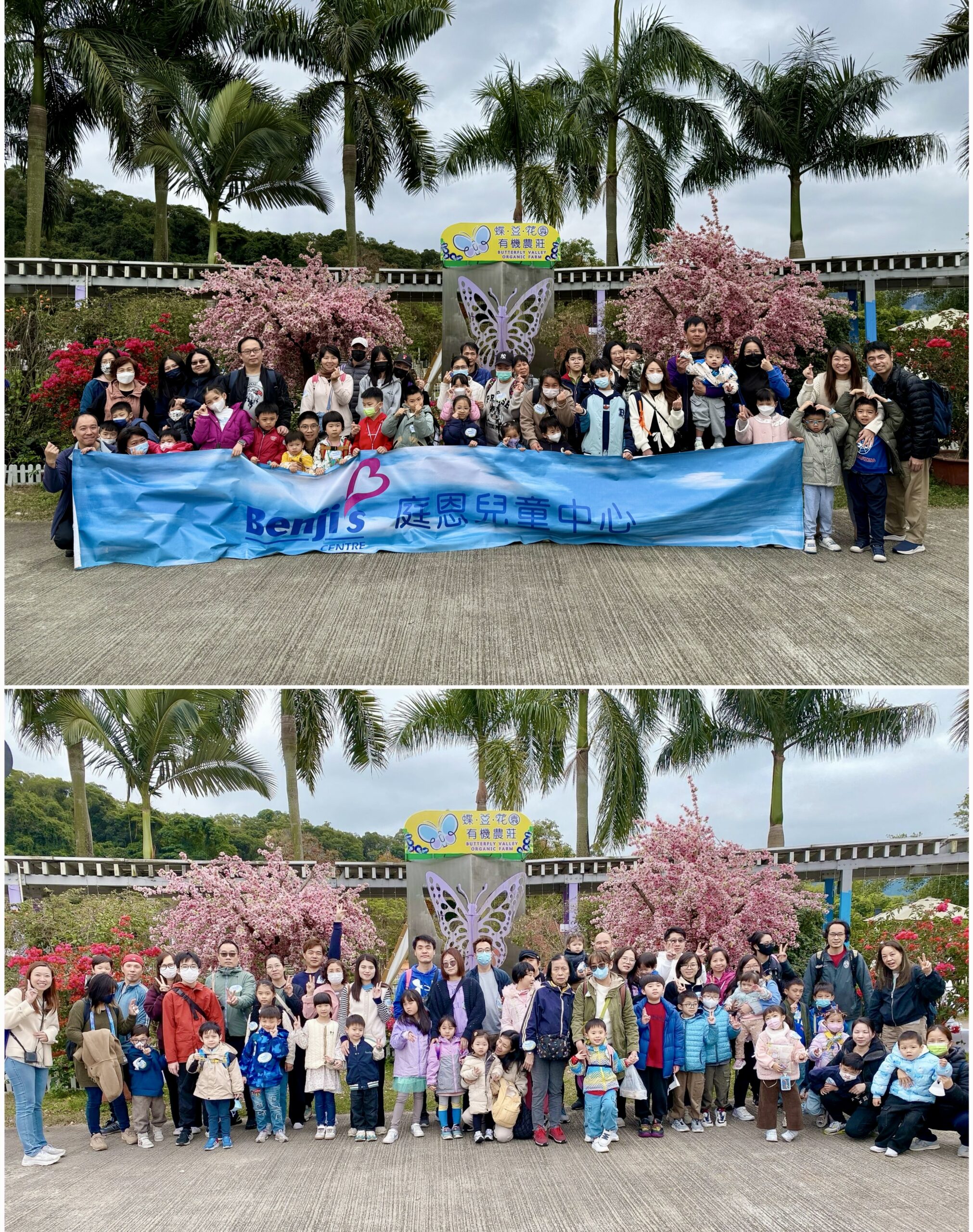 2025.2.23蝶豆花園戶外旅行